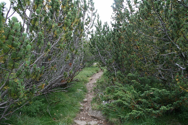 Bulgaria 2008 317